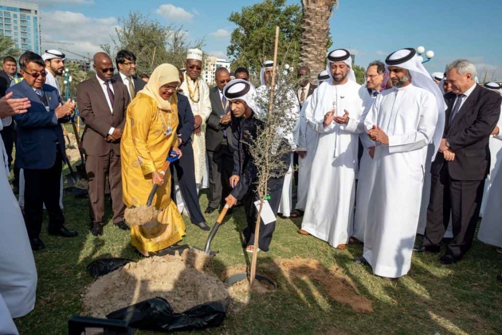 Planting 400 Trees