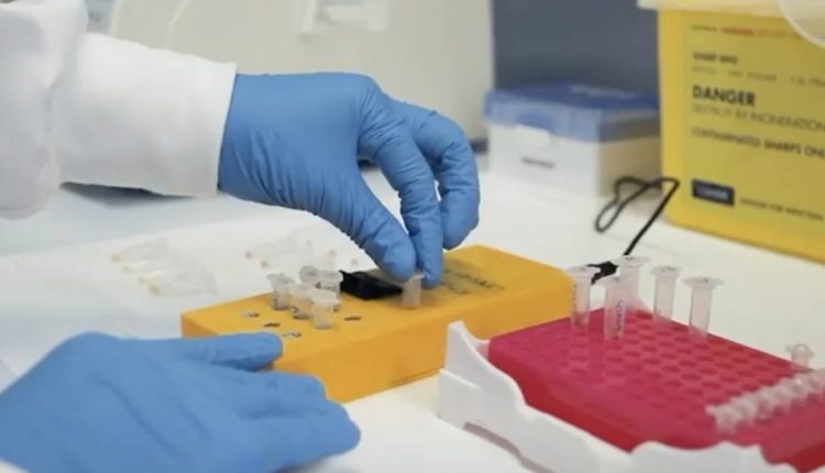 Khalifa University team designs portable PCR tests