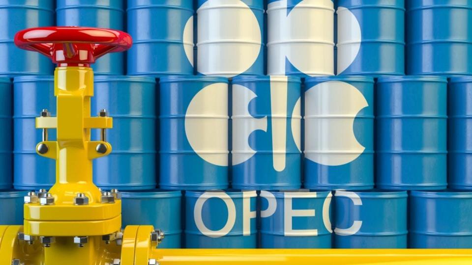 The UAE participates in OPEC 8th seminar.