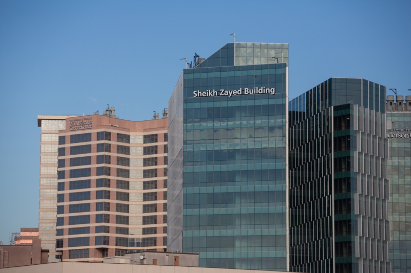 Sheikh Zayed Cancer Research Building in Houston.