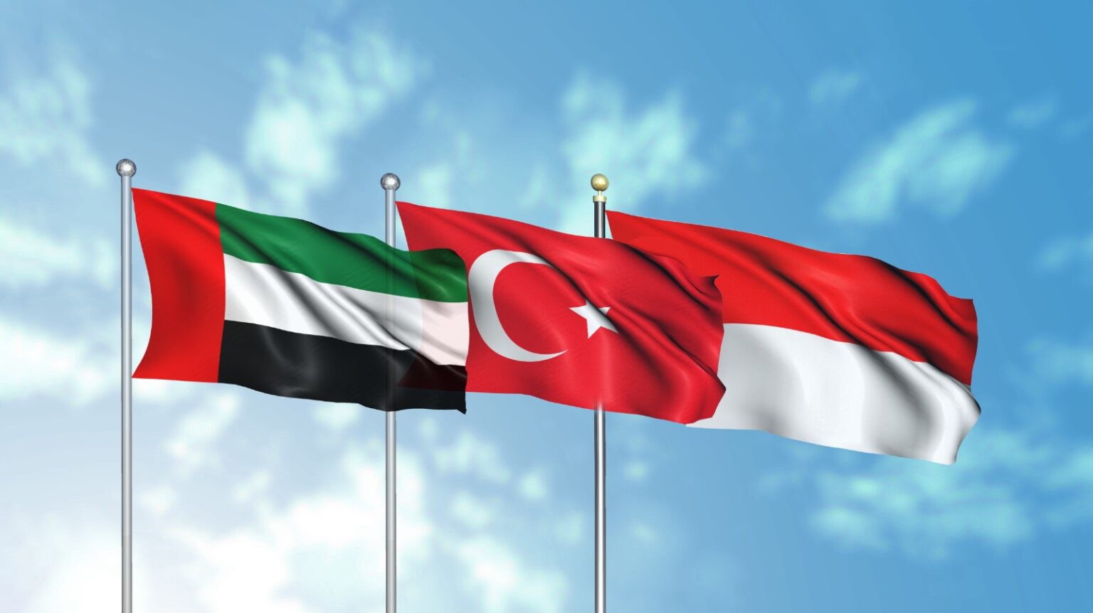 UAE Comprehensive Economic Partnership Agreements with Turkey & Indonesia.