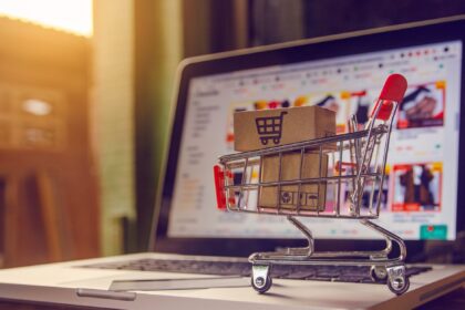 UAE Achieved the Highest Score in Online Shopping.