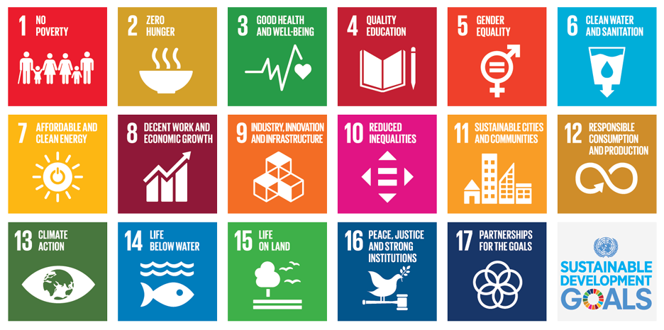 the United Nations' 17 Sustainable Development Goals, UAE Year Of Sustainability 