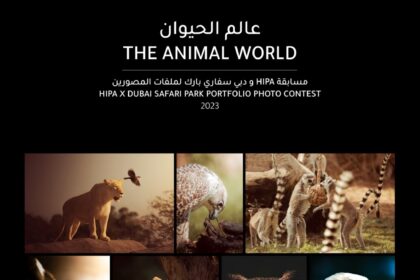 Dubai Safari Park & HIPA Opens New Horizons for Photographers