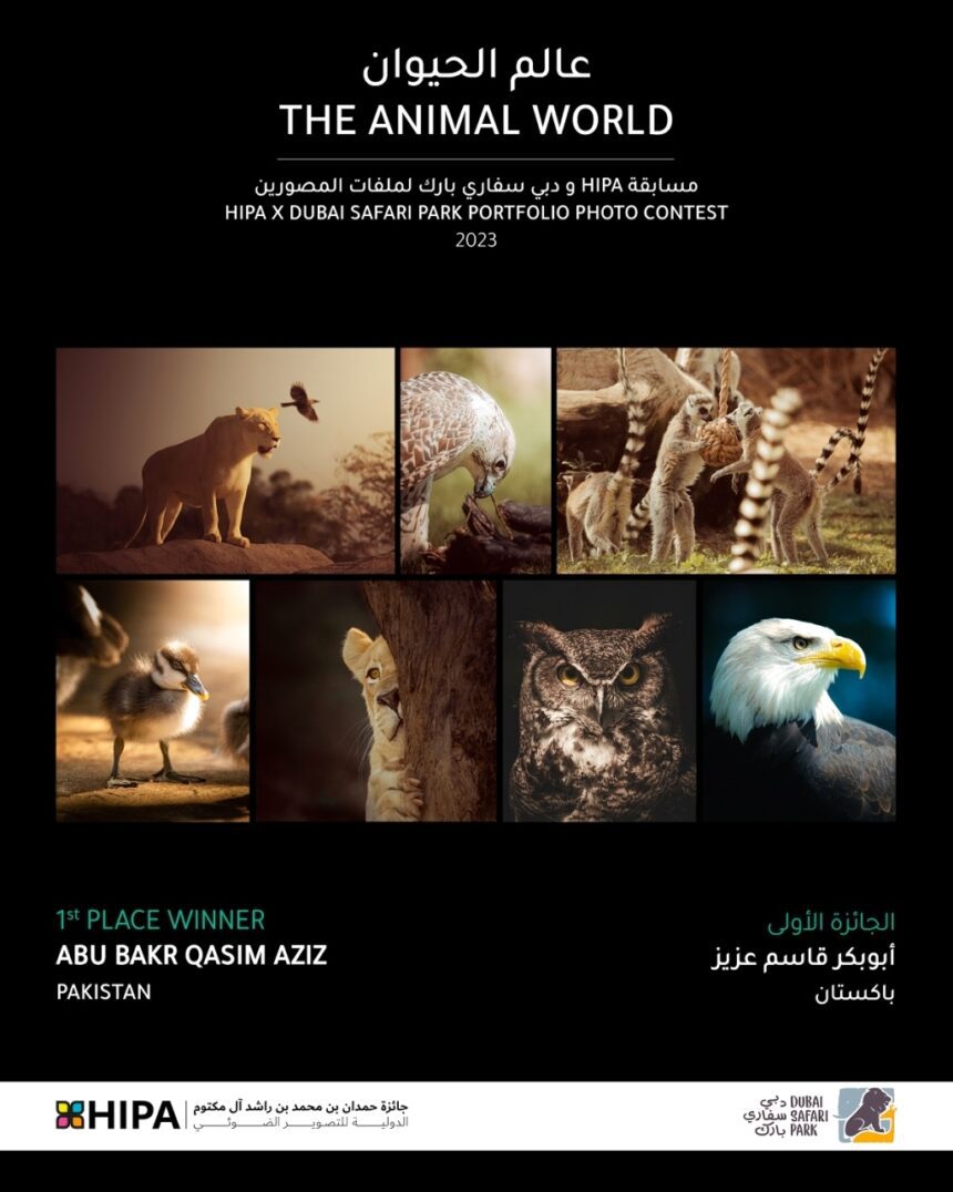 Dubai Safari Park & HIPA Opens New Horizons for Photographers