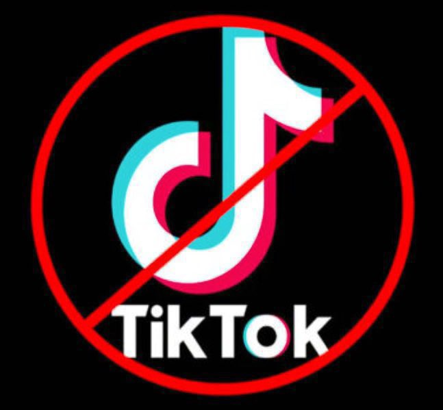 TikTok Boycott in Saudi Arabia Declines the App Rating.