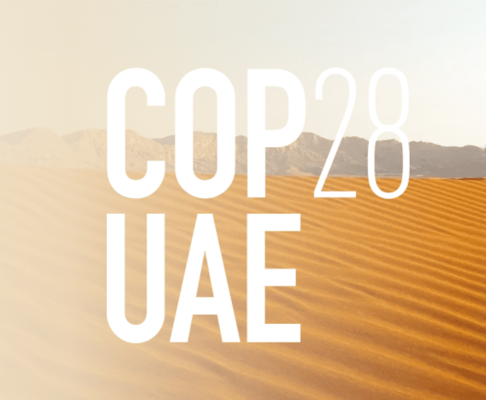 The Conference of the Parties in the UAE - COP28