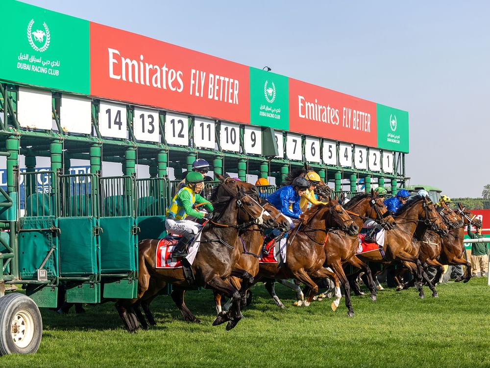 Emirates Airline is the Official Sponsor of Dubai Racing Carnival