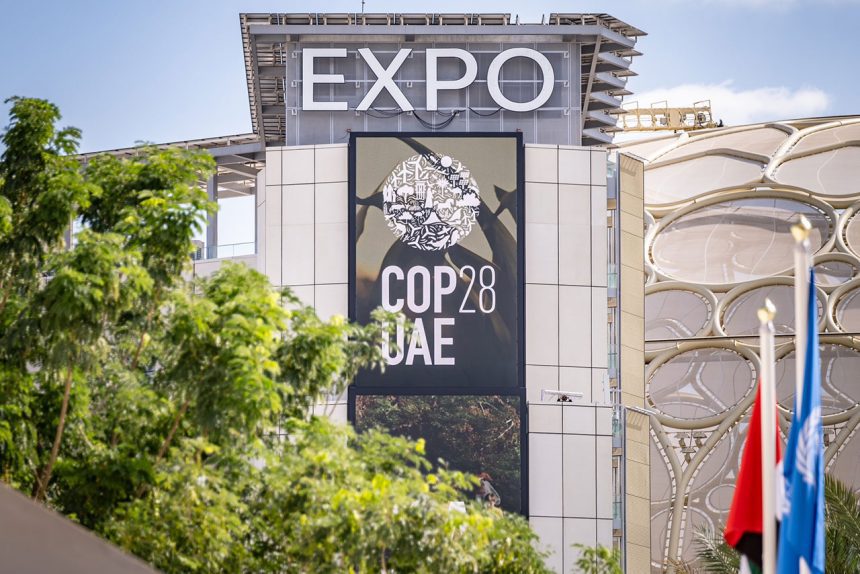 Dubai Expo City Farm ... Emirates Eco-Friendly Farm at COP28