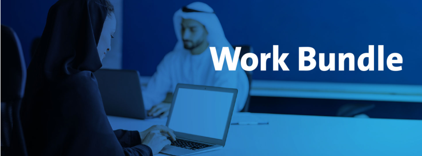 Work Bundle Simplify, Unify, & Expedite Procedures in the UAE