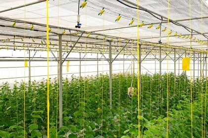 ICBA at the Forefront of Environmental Sustainability