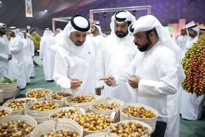 Hamdan bin Zayed Visits the 20th Edition of Liwa Date Festival