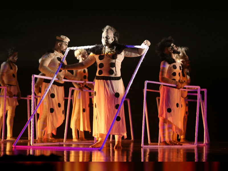 Scenography Enriches Shows in Dubai Theatre Festival