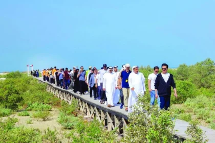 Mangrove Tree Planting Campaign By DEWA
