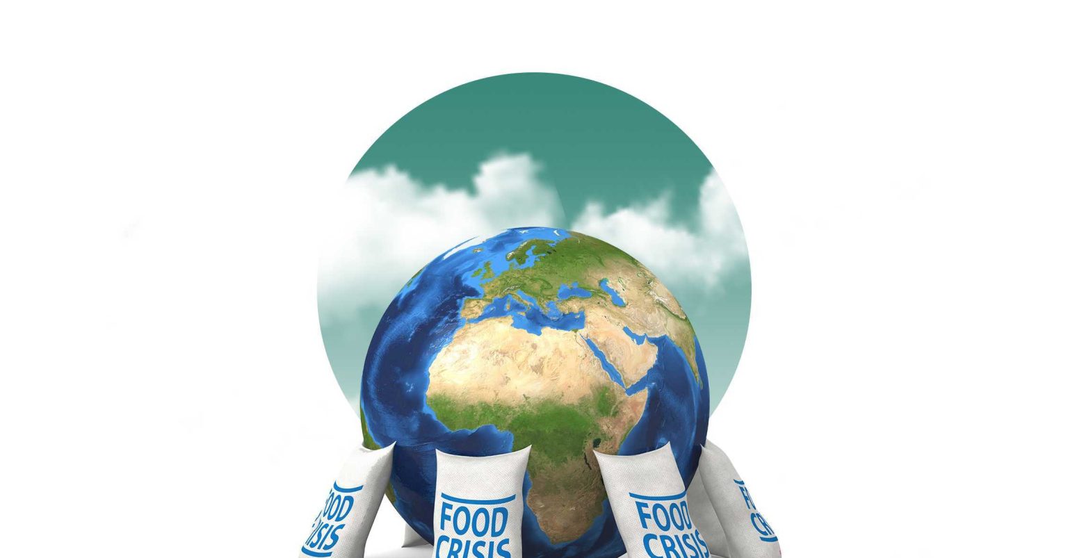 Global Food Security A Key Sustainable Goal For UAE