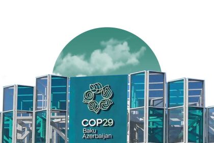UAE Participation in COP29 Concluded Successfully