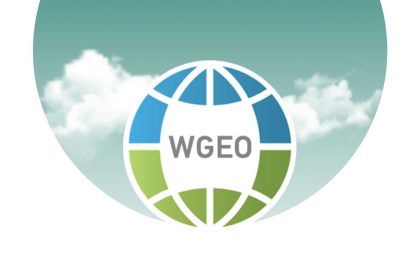 World Green Economy Organization Supports 11 African Cities