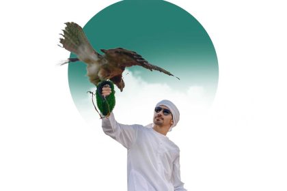 President's Falconry Cup - Updates