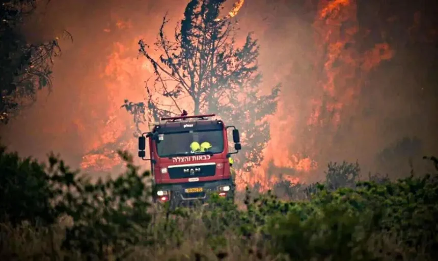 Are the Wildfires in Israel Deliberately Set?